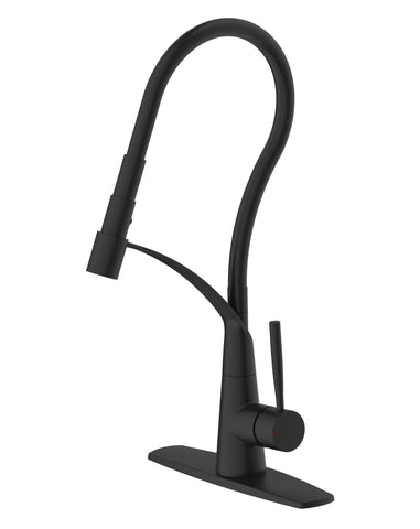 Fontaine by Italia Dupleix Kitchen Pull Down Faucet in Matte Black
