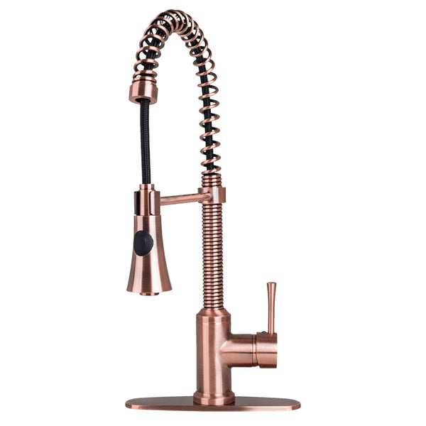 Fontaine by Italia Residential Spring Coil Kitchen Faucet Cone Spray H